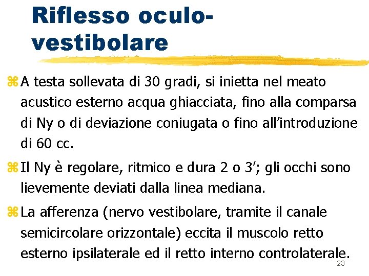 Riflesso oculovestibolare z A testa sollevata di 30 gradi, si inietta nel meato acustico