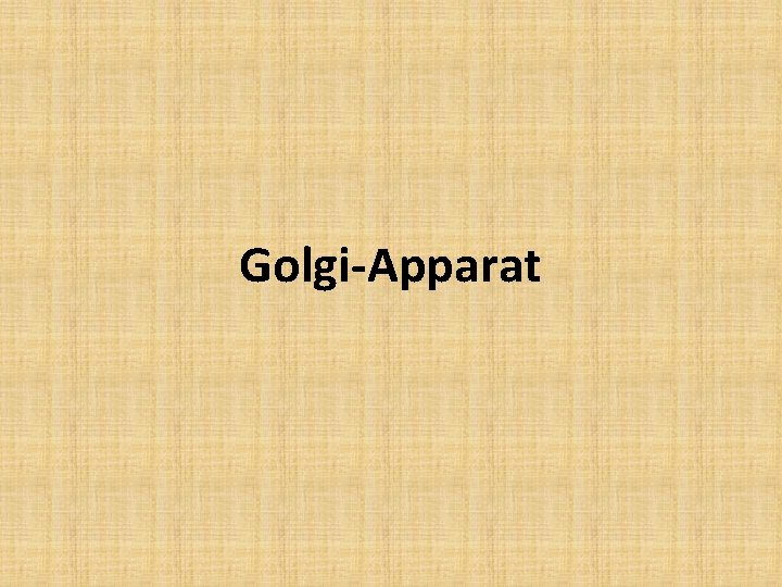 Golgi-Apparat 