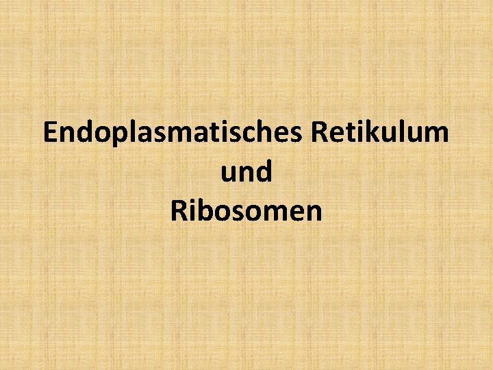 Endoplasmatisches Retikulum und Ribosomen 