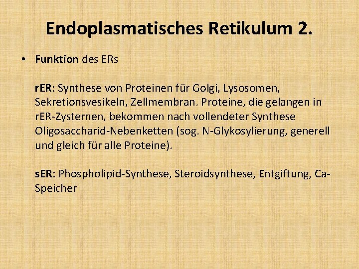 Endoplasmatisches Retikulum 2. • Funktion des ERs r. ER: Synthese von Proteinen für Golgi,