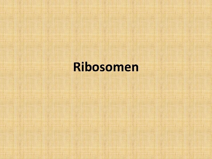 Ribosomen 
