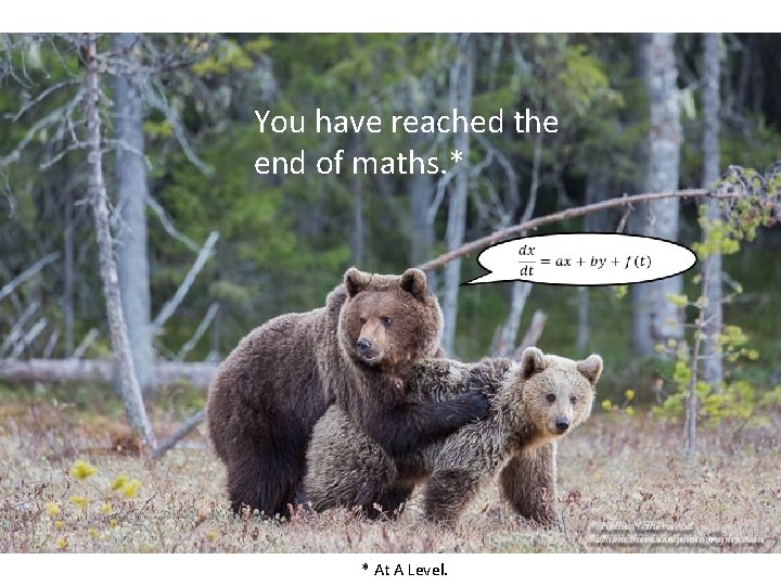 You have reached the end of maths. * * At A Level. You have reached the end of maths. * * At A Level.