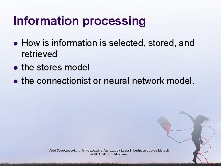 Information processing l l l How is information is selected, stored, and retrieved the