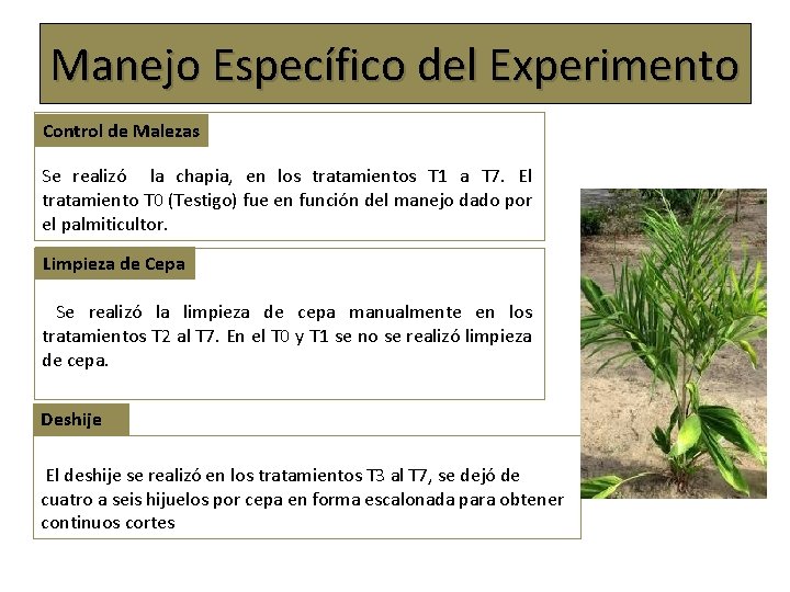 Manejo Específico del Experimento Control de Malezas Se realizó la chapia, en los tratamientos