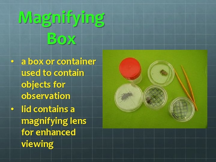 Magnifying Box • a box or container used to contain objects for observation • Magnifying Box • a box or container used to contain objects for observation •