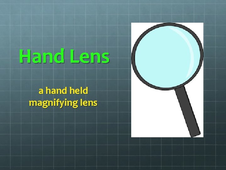Hand Lens a hand held magnifying lens Hand Lens a hand held magnifying lens