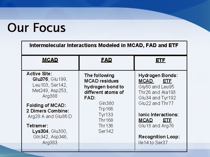 Our Focus Intermolecular Interactions Modeled in MCAD, FAD and ETF MCAD Active Site: Glu Our Focus Intermolecular Interactions Modeled in MCAD, FAD and ETF MCAD Active Site: Glu