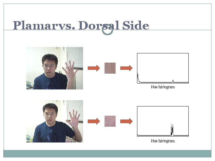 Plamar vs. Dorsal Side Hue histogram Plamar vs. Dorsal Side Hue histogram