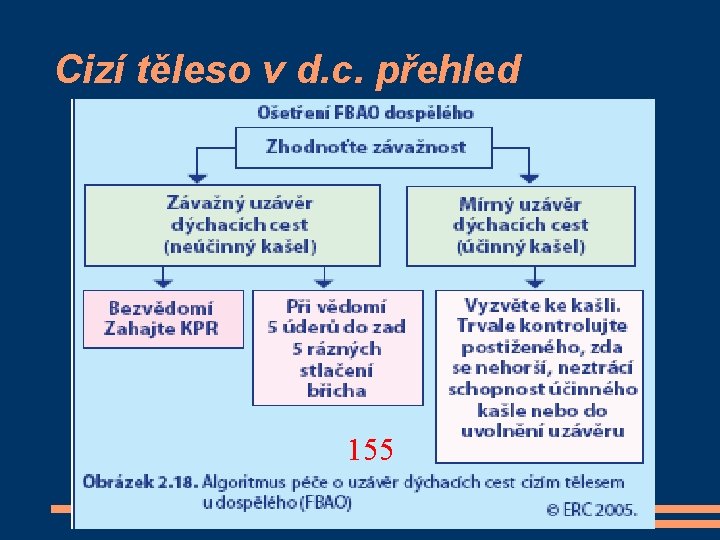 Cizí těleso v d. c. přehled 155 
