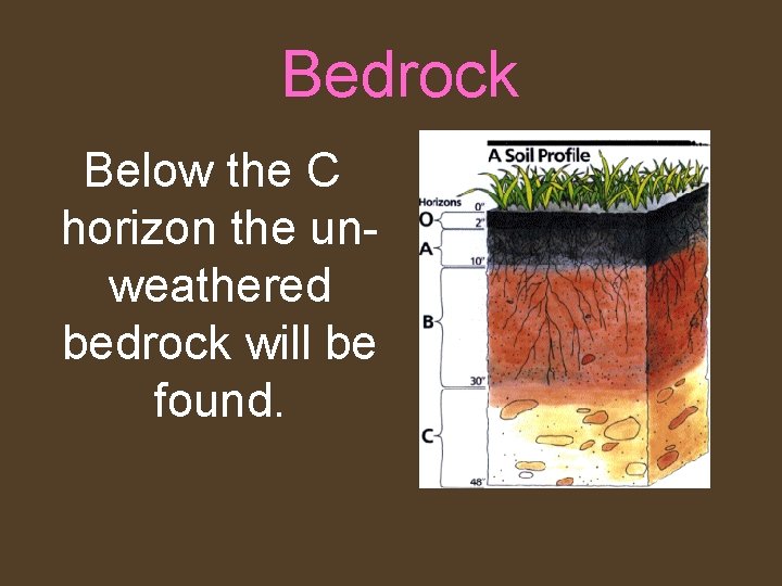 Bedrock Below the C horizon the unweathered bedrock will be found. 