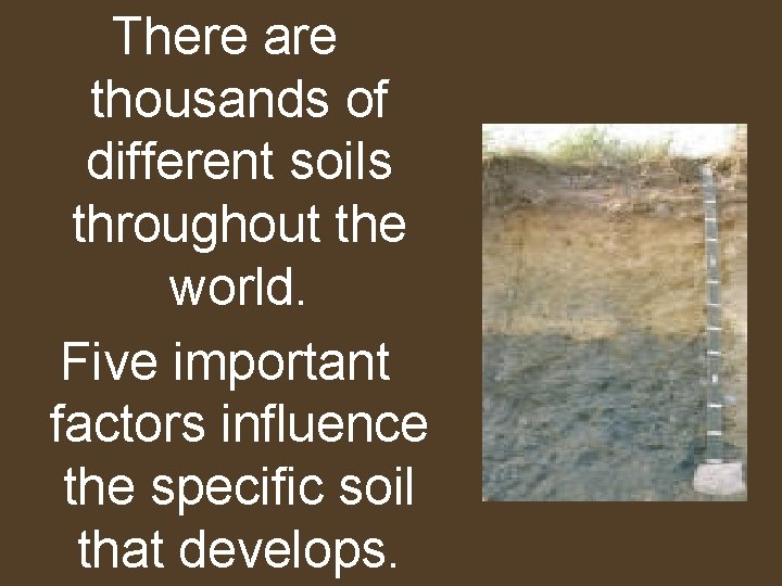 There are thousands of different soils throughout the world. Five important factors influence the