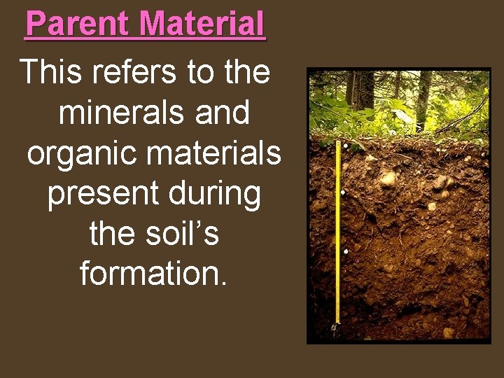 Parent Material This refers to the minerals and organic materials present during the soil’s
