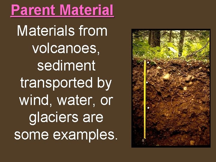 Parent Materials from volcanoes, sediment transported by wind, water, or glaciers are some examples.