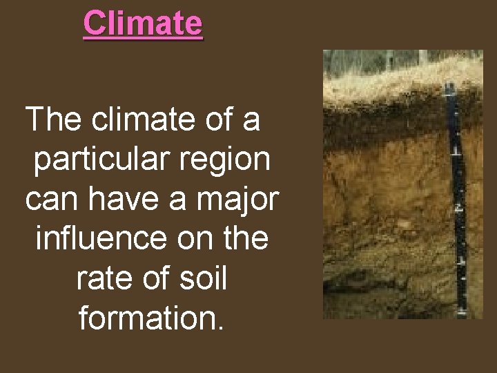 Climate The climate of a particular region can have a major influence on the