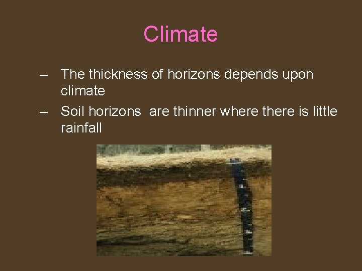 Climate – The thickness of horizons depends upon climate – Soil horizons are thinner