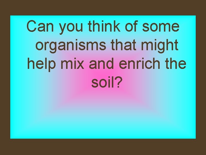 Can you think of some organisms that might help mix and enrich the soil?