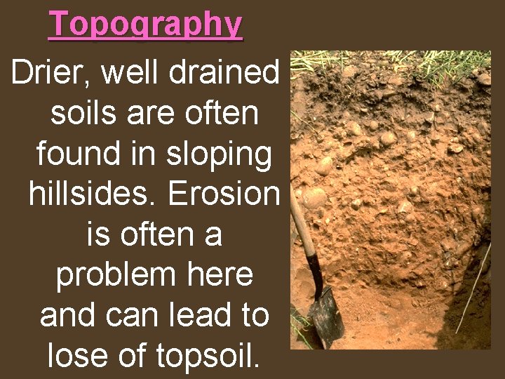 Topography Drier, well drained soils are often found in sloping hillsides. Erosion is often