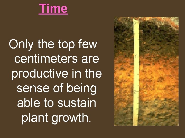 Time Only the top few centimeters are productive in the sense of being able