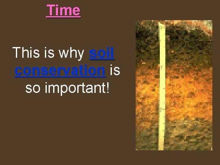 Time This is why soil conservation is so important! 