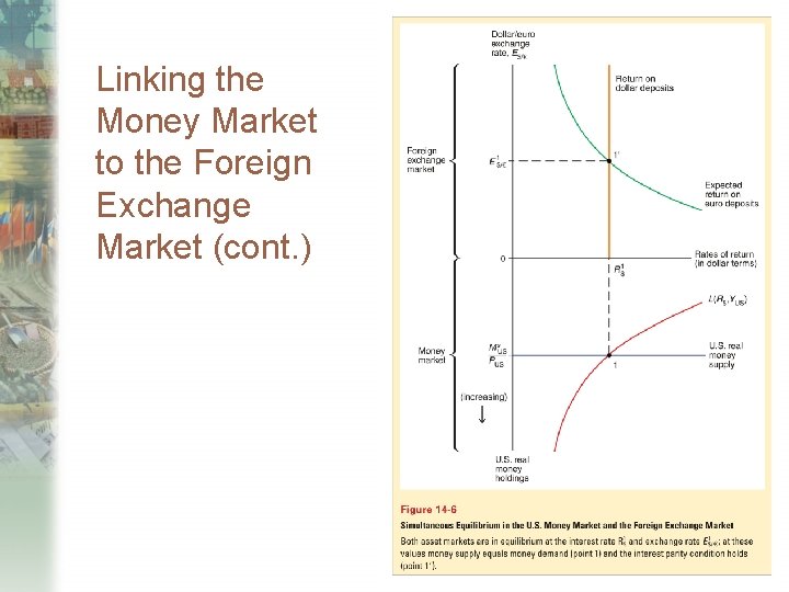 Linking the Money Market to the Foreign Exchange Market (cont. ) 
