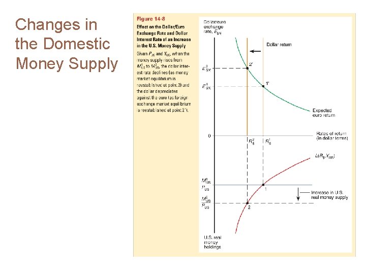 Changes in the Domestic Money Supply 