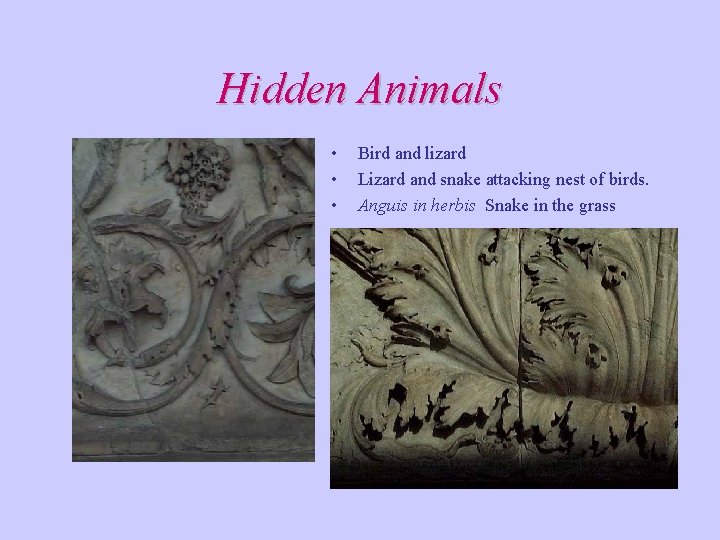 Hidden Animals • • • Bird and lizard Lizard and snake attacking nest of Hidden Animals • • • Bird and lizard Lizard and snake attacking nest of