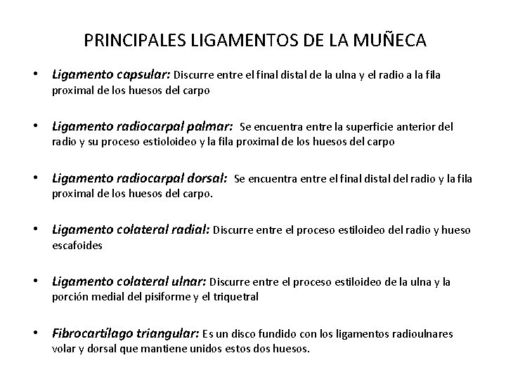 PRINCIPALES LIGAMENTOS DE LA MUÑECA • Ligamento capsular: Discurre entre el final distal de