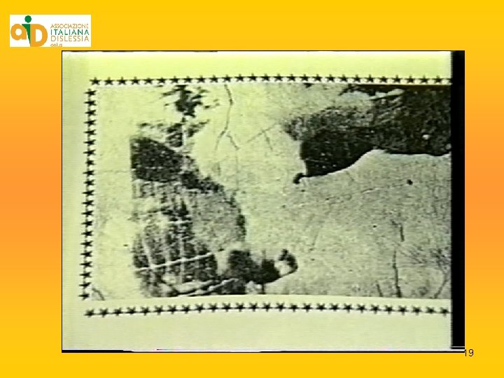 19 19
