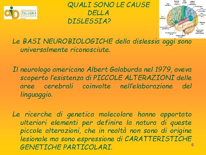QUALI SONO LE CAUSE DELLA DISLESSIA? Le BASI NEUROBIOLOGICHE della dislessia oggi sono universalmente QUALI SONO LE CAUSE DELLA DISLESSIA? Le BASI NEUROBIOLOGICHE della dislessia oggi sono universalmente