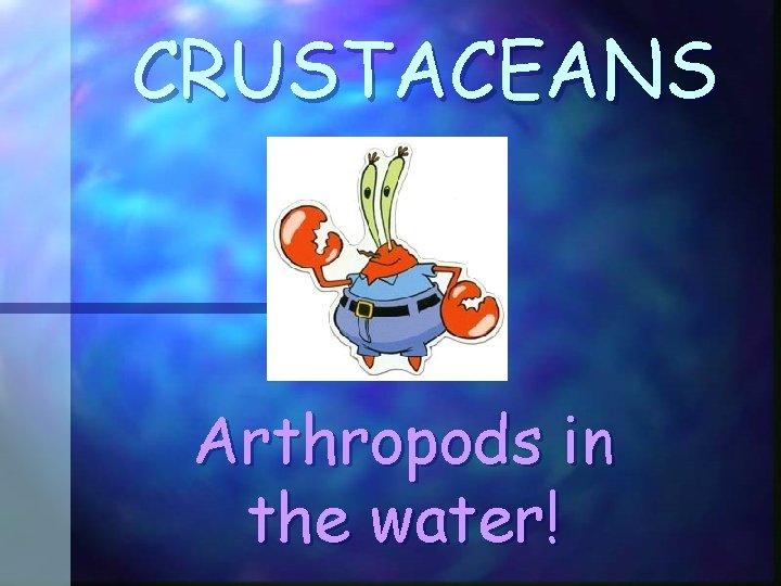 CRUSTACEANS Arthropods in the water! 