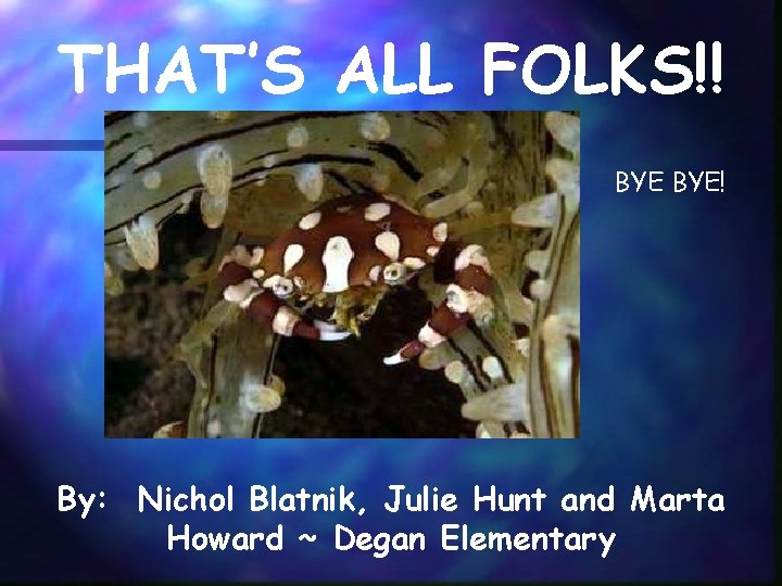 THAT’S ALL FOLKS!! BYE! By: Nichol Blatnik, Julie Hunt and Marta Howard ~ Degan