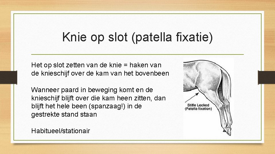 Knie op slot (patella fixatie) Het op slot zetten van de knie = haken