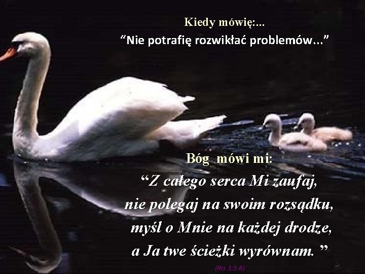 Kiedy mówię: . . . “Nie potrafię rozwikłać problemów. . . ” Bóg mówi