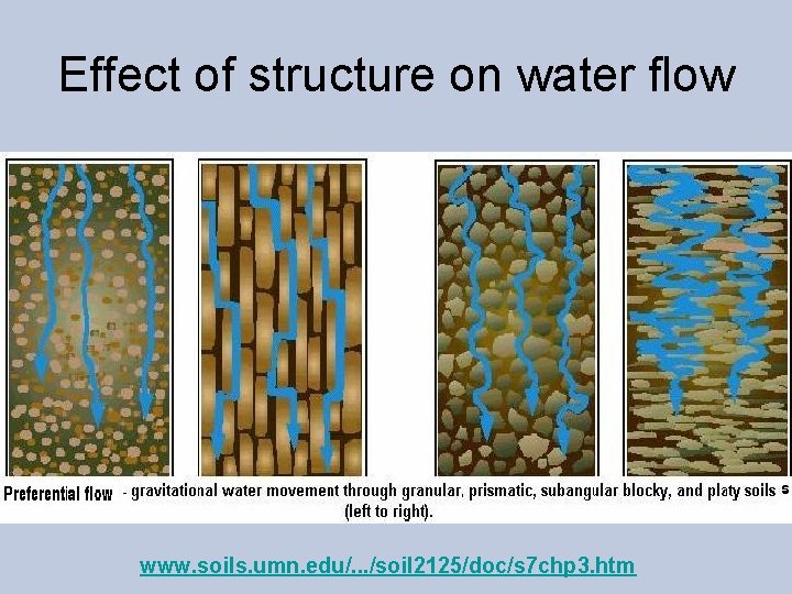 Effect of structure on water flow www. soils. umn. edu/. . . /soil 2125/doc/s