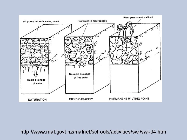 http: //www. maf. govt. nz/mafnet/schools/activities/swi-04. htm 