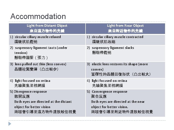 Accommodation Light from Distant Object 來自遠方物件的光線 Light from Near Object 來自附近物件的光線 1) circular ciliary
