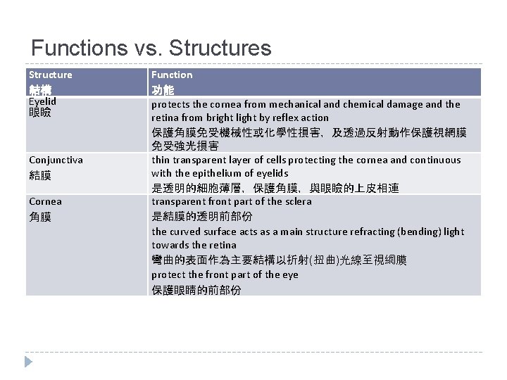 Functions vs. Structures Structure 結構 Eyelid 眼瞼 Conjunctiva 結膜 Cornea 角膜 Function 功能 protects