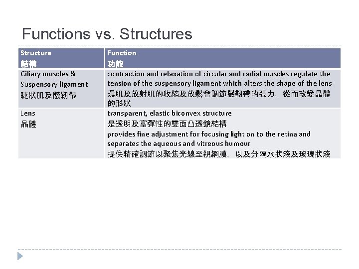 Functions vs. Structures Structure 結構 Ciliary muscles & Suspensory ligament 睫狀肌及懸靭帶 Lens 晶體 Function