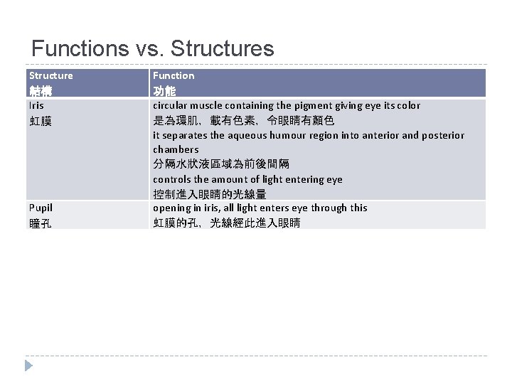 Functions vs. Structures Structure 結構 Iris 虹膜 Pupil 瞳孔 Function 功能 circular muscle containing