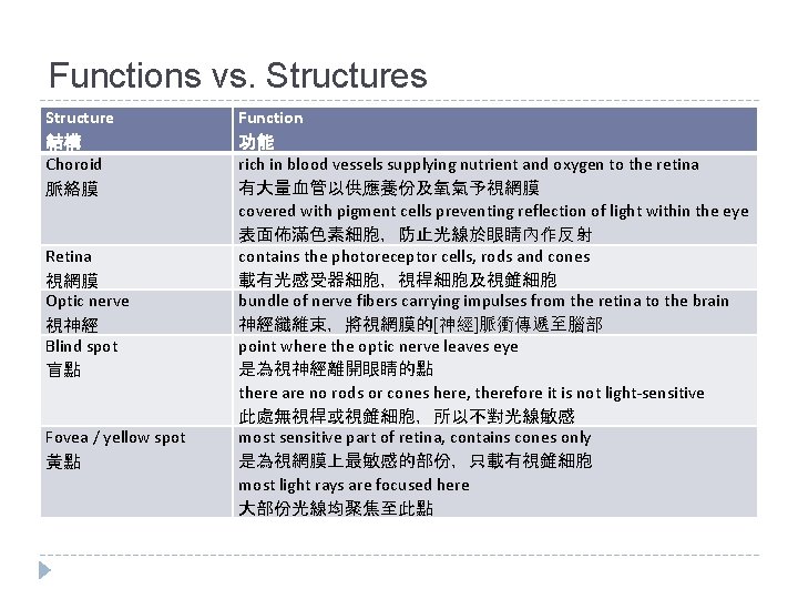 Functions vs. Structures Structure 結構 Choroid 脈絡膜 Retina 視網膜 Optic nerve 視神經 Blind spot