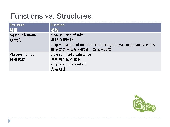 Functions vs. Structures Structure 結構 Aqueous humour 水狀液 Vitreous humour 玻璃狀液 Function 功能 clear