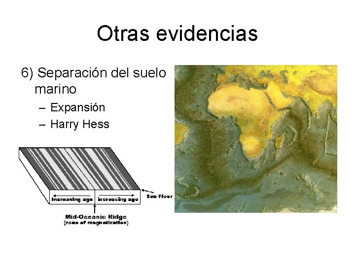 Otras evidencias 6) Separación del suelo marino – Expansión – Harry Hess 