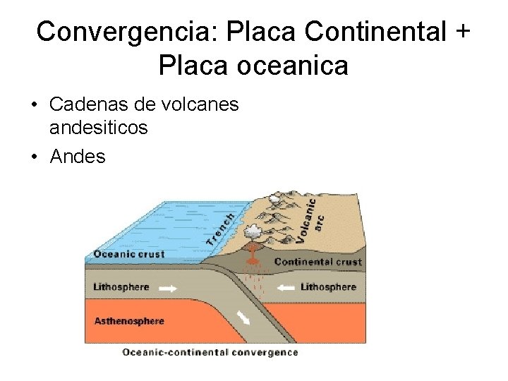 Convergencia: Placa Continental + Placa oceanica • Cadenas de volcanes andesiticos • Andes 