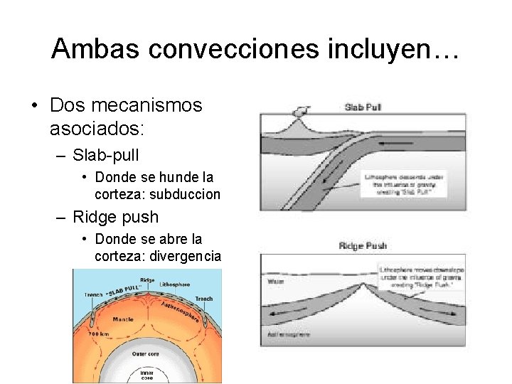 Ambas convecciones incluyen… • Dos mecanismos asociados: – Slab-pull • Donde se hunde la