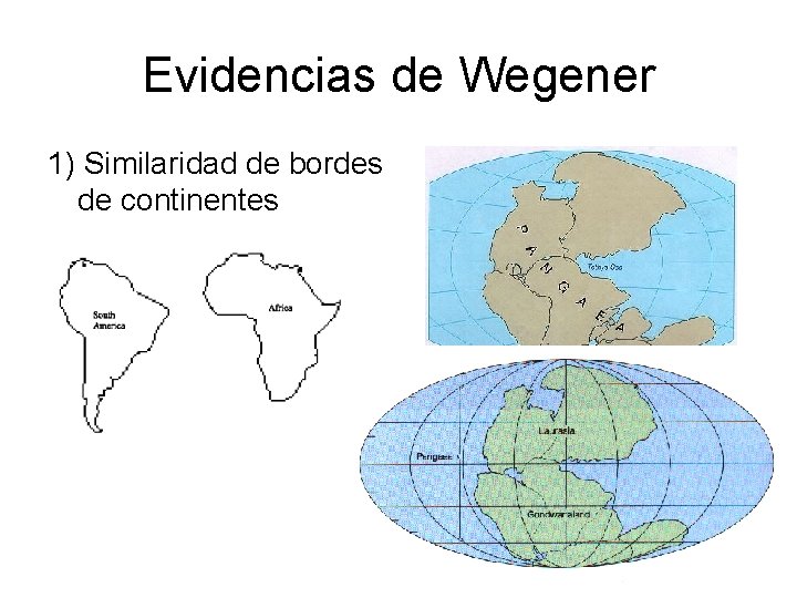 Evidencias de Wegener 1) Similaridad de bordes de continentes 