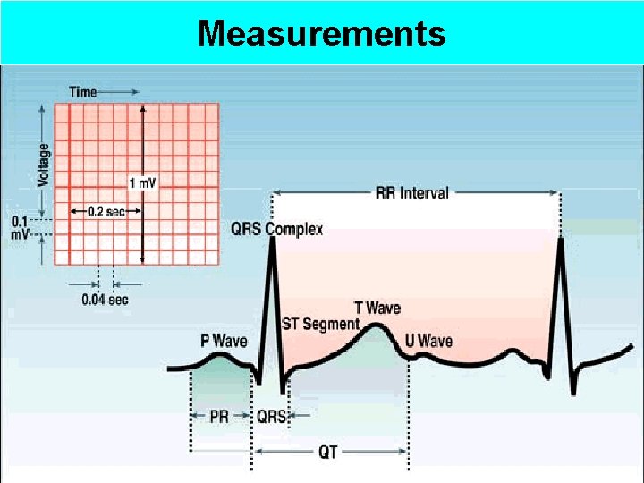 Measurements 