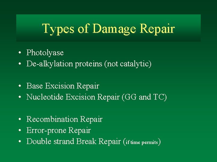 Types of Damage Repair • Photolyase • De-alkylation proteins (not catalytic) • Base Excision