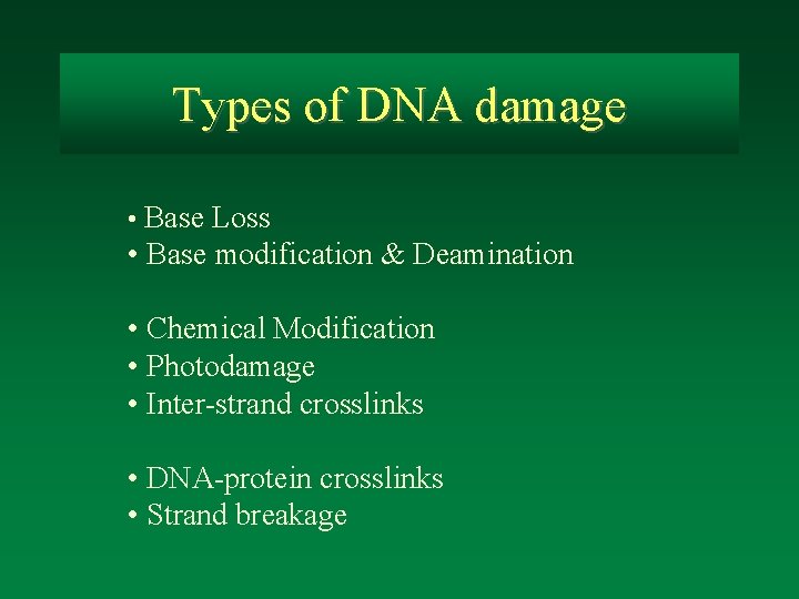 Types of DNA damage • Base Loss • Base modification & Deamination • Chemical
