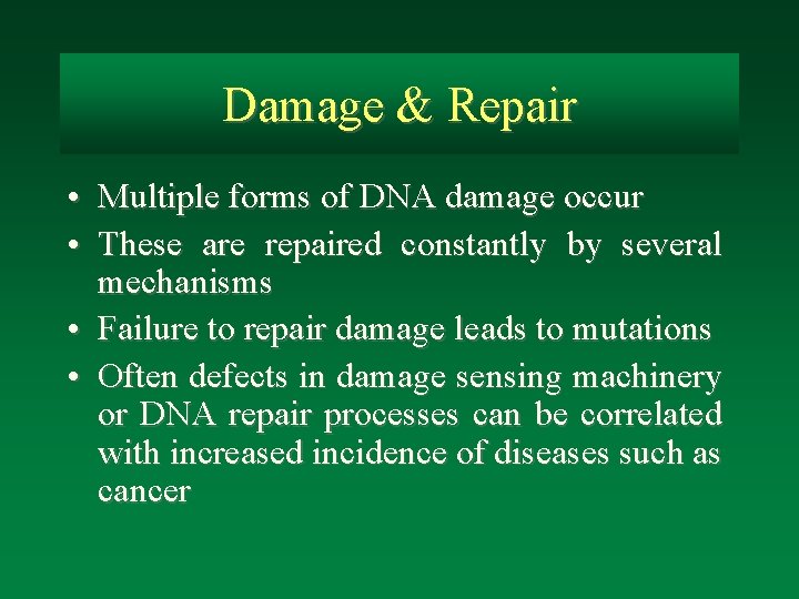 Damage & Repair • Multiple forms of DNA damage occur • These are repaired