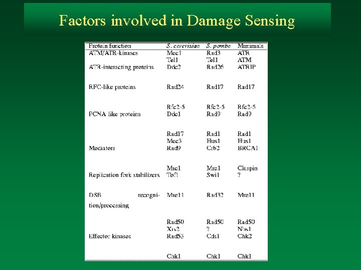 Factors involved in Damage Sensing 